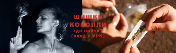 стаф Дмитров