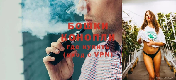 стаф Дмитров