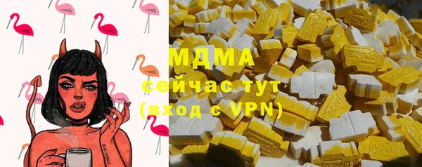 стаф Дмитров