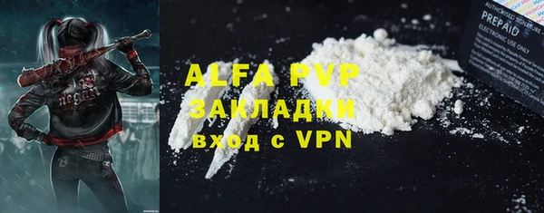 стаф Дмитров