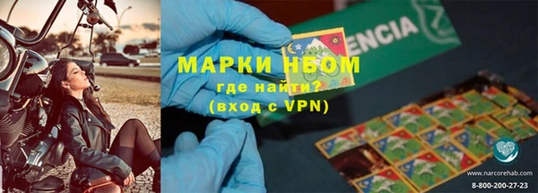 стаф Дмитров