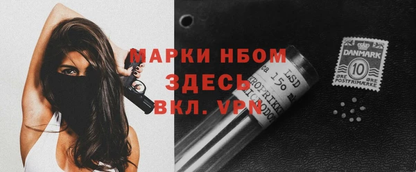 стаф Дмитров